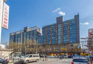 活性炭车载净化器价格